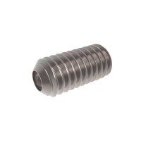 DIN 916 SOCKET SET SCREWS BL/ZN/INOX