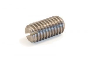 DIN551 Slotted set screws BL/ZN/INOX