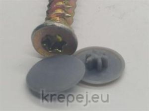 КАПАЧКА PVC ВИНТ TORX30 Ф16.5 RAL9006 СРЕБРО